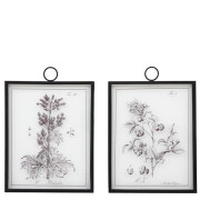 Petiole Art Set of 2